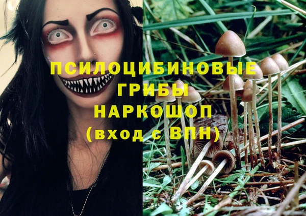 apvp Заволжск