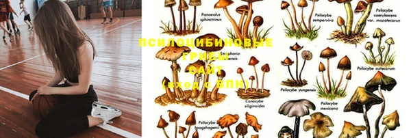 альфа пвп VHQ Заводоуковск