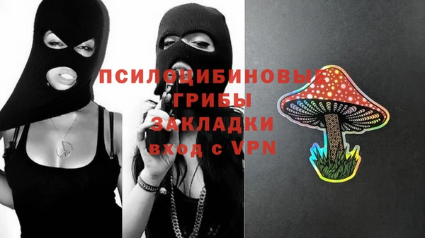 apvp Заволжск